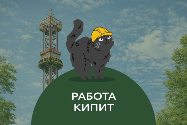 Фитиль
