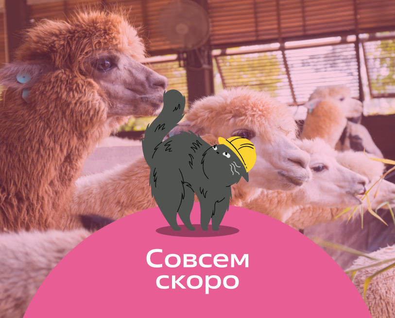 Альпака-парк