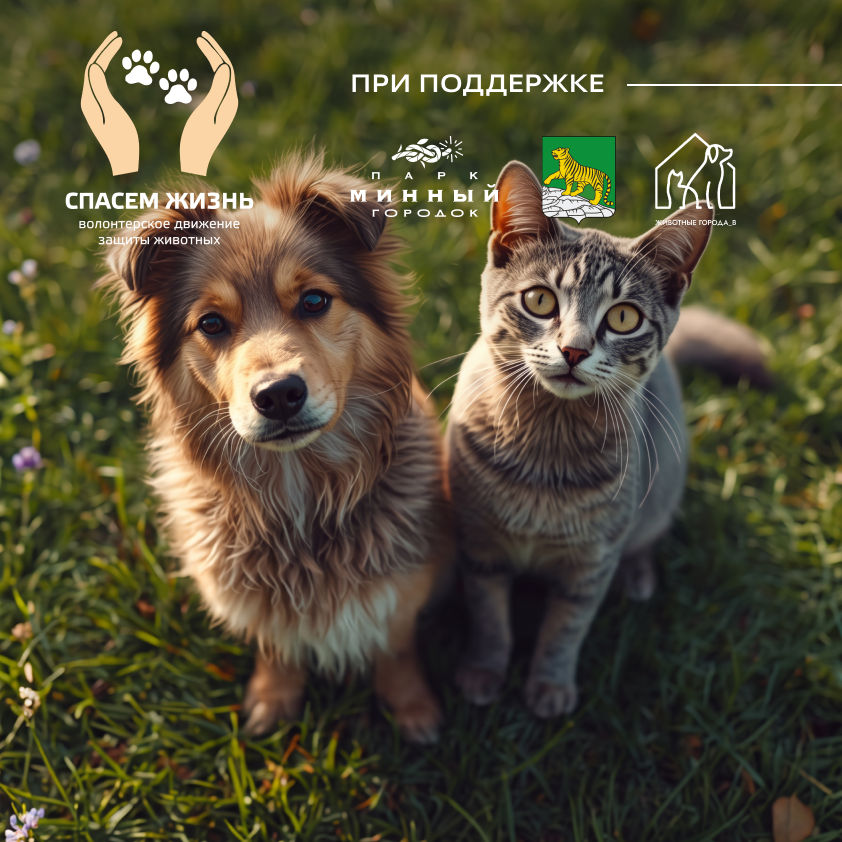 Выставка-раздача кошек и собак