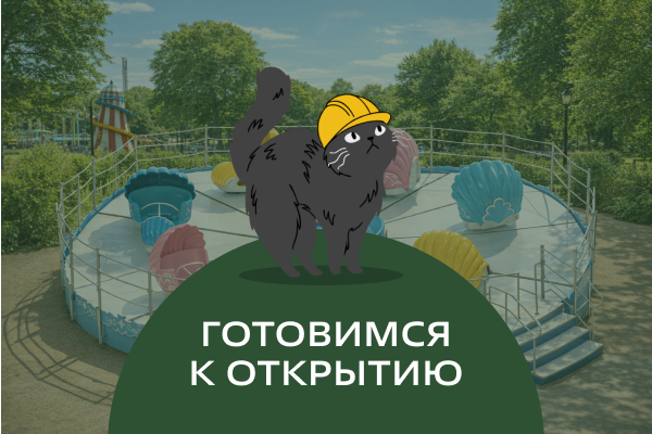 Гребешки