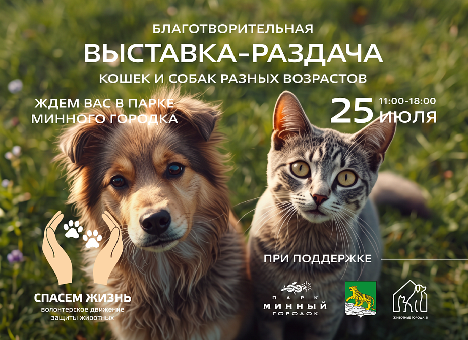 Выставка-раздача