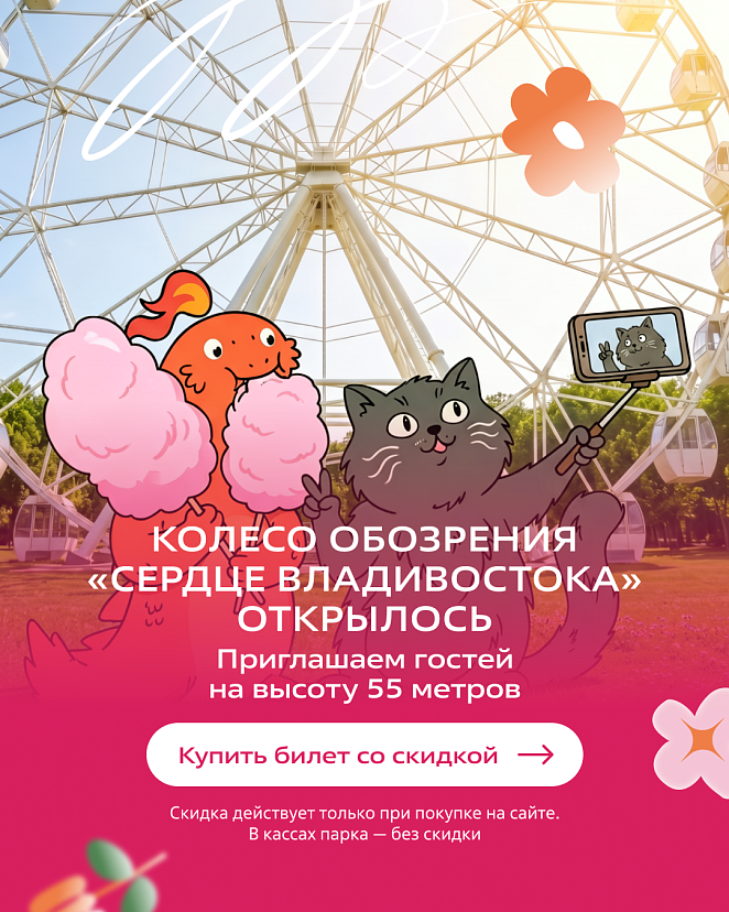 колесо обозрения открыто