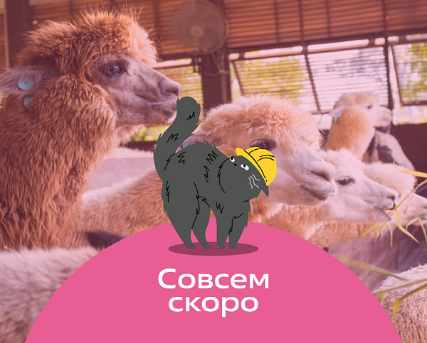 Альпака-парк