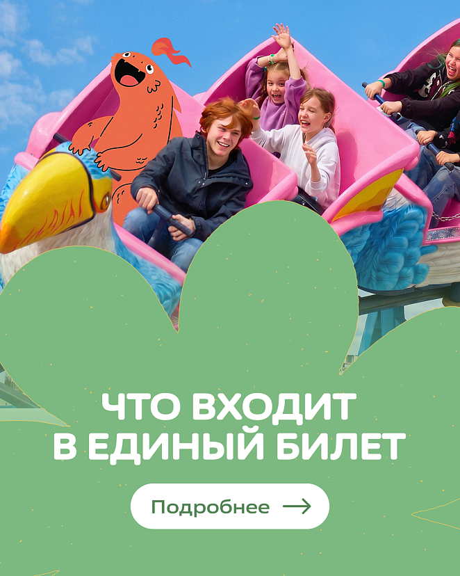 единый билет